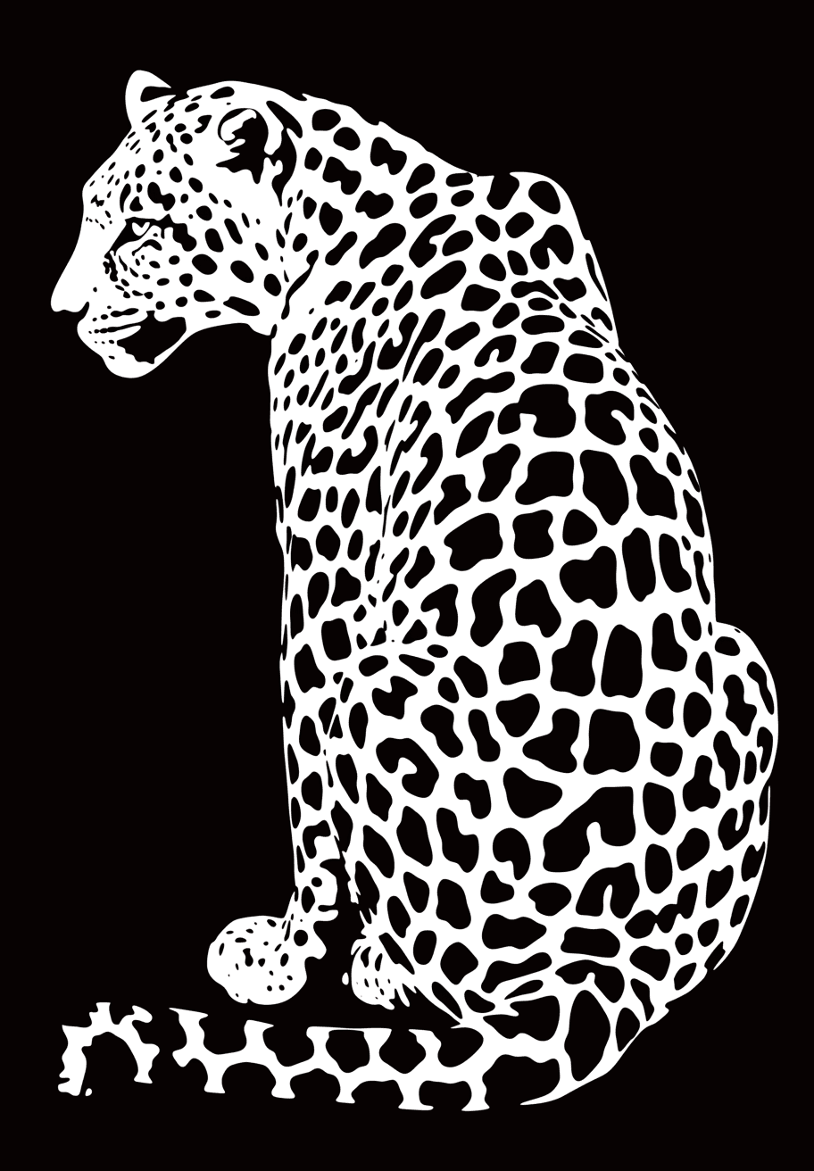 Leopard Kick original repeating artwork